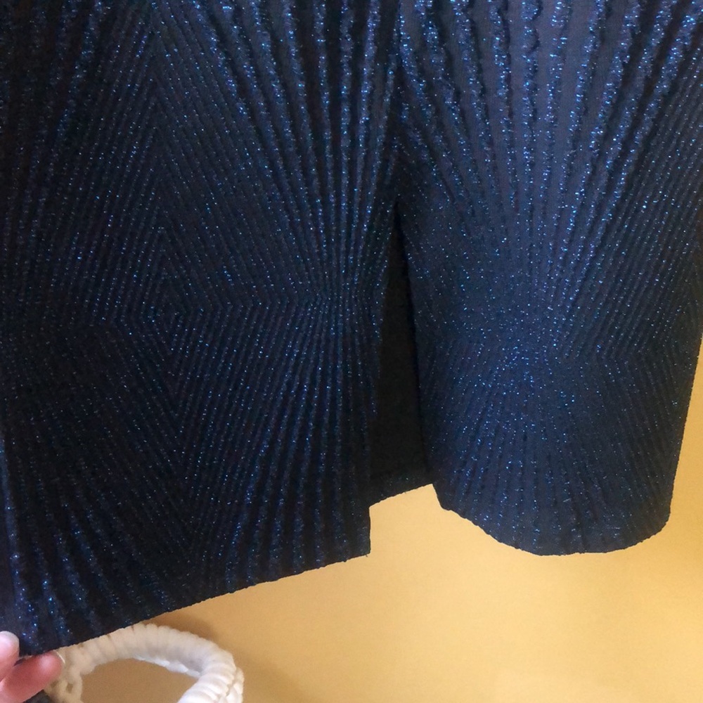 Zara navy  skirt